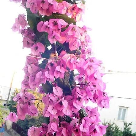 Lejlighed Ana&neso Pakoštane