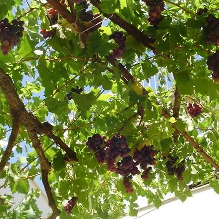 Lejlighed Ana&neso *